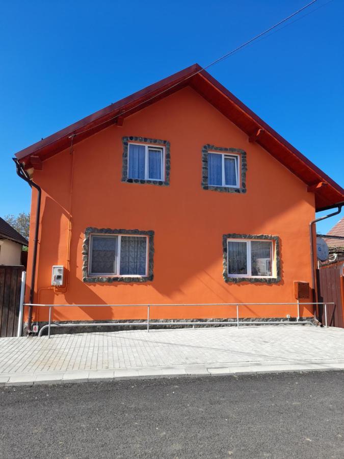 Casa Alex Hotel Cartisoara Exterior photo