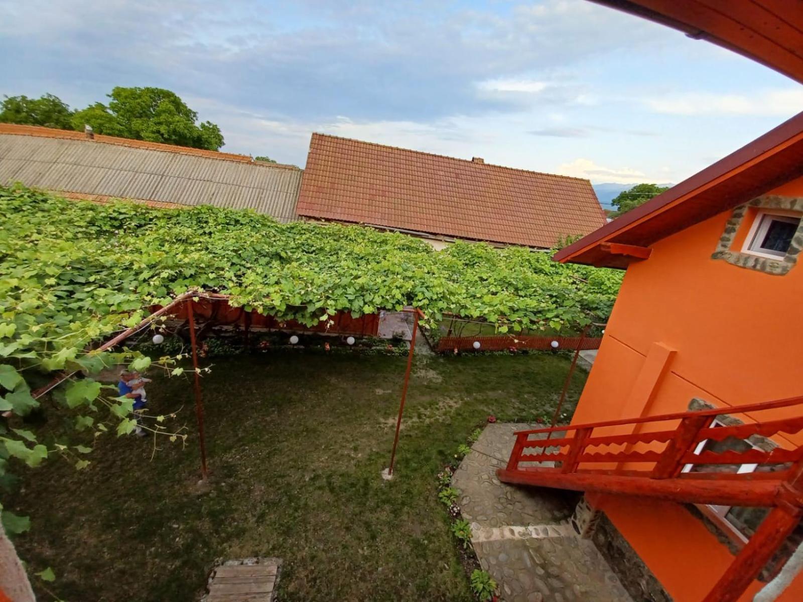 Casa Alex Hotel Cartisoara Exterior photo